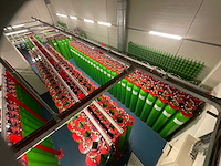 Siemens cerberus ct11 co2 brandblusinstallatie - afbeelding 12 van  48