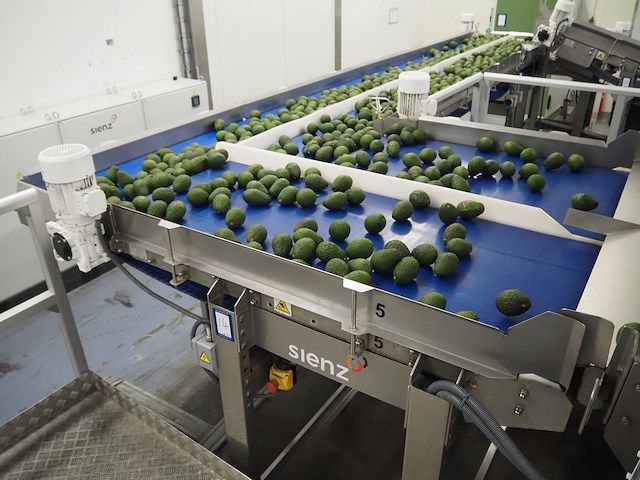 Sienz s.l. - afbeelding 3 van  8