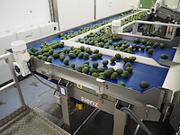 Sienz s.l. - afbeelding 3 van  8