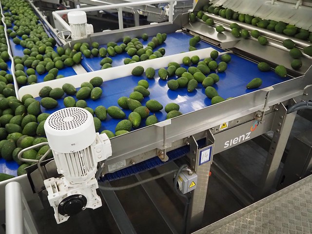 Sienz s.l. - afbeelding 4 van  8