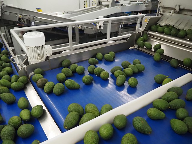 Sienz s.l. - afbeelding 5 van  8