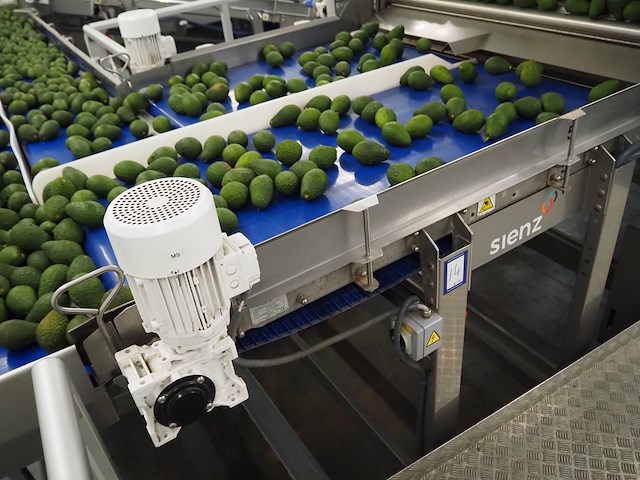 Sienz s.l. - afbeelding 6 van  8