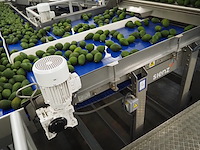 Sienz s.l. - afbeelding 6 van  8