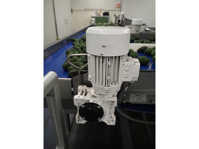 Sienz s.l. - afbeelding 7 van  8