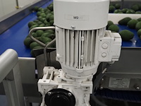 Sienz s.l. - afbeelding 7 van  8