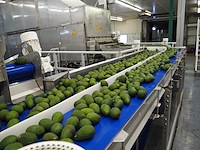 Sienz s.l. - afbeelding 3 van  6