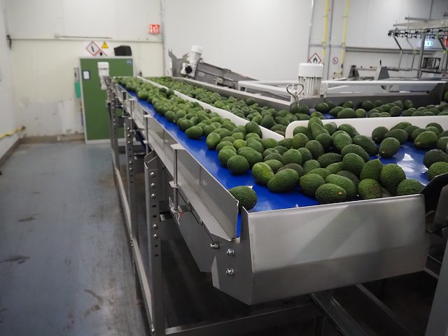 Sienz s.l. - afbeelding 4 van  6