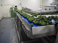 Sienz s.l. - afbeelding 4 van  6