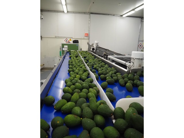 Sienz s.l. - afbeelding 5 van  6