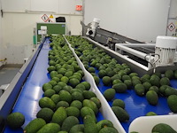 Sienz s.l. - afbeelding 5 van  6