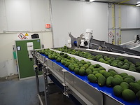 Sienz s.l. - afbeelding 6 van  6