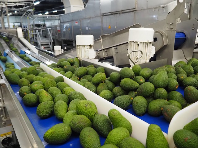 Sienz s.l. - afbeelding 3 van  5