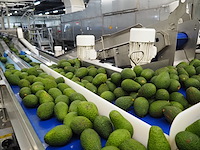 Sienz s.l. - afbeelding 3 van  5