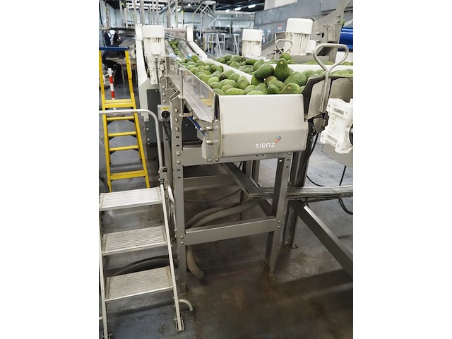 Sienz s.l. - afbeelding 4 van  5