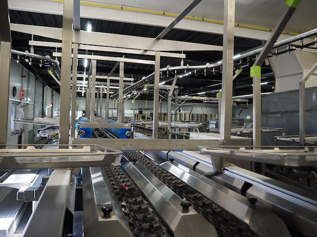 Sienz s.l. - afbeelding 5 van  45