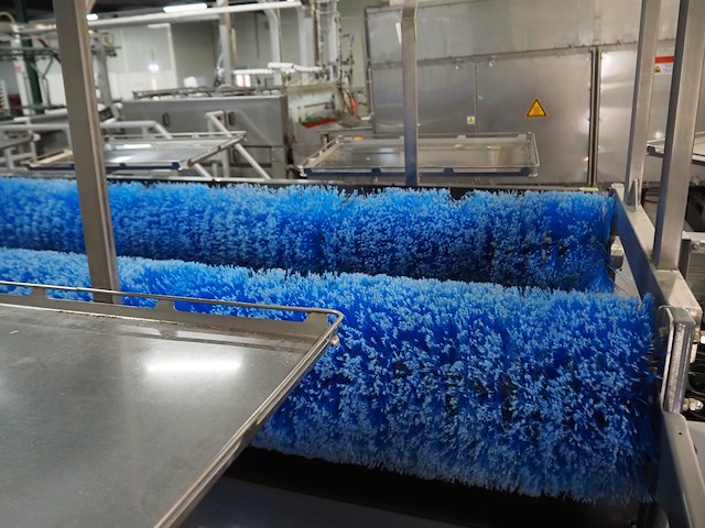 Sienz s.l. - afbeelding 8 van  45