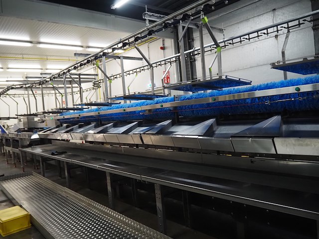 Sienz s.l. - afbeelding 22 van  45