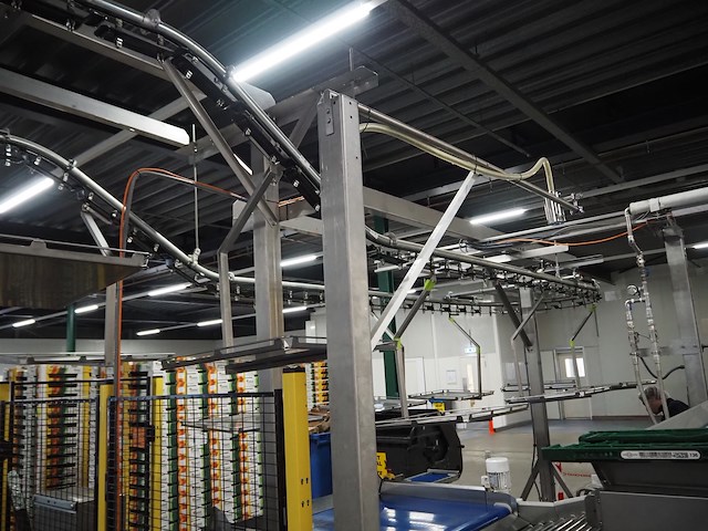 Sienz s.l. - afbeelding 27 van  45