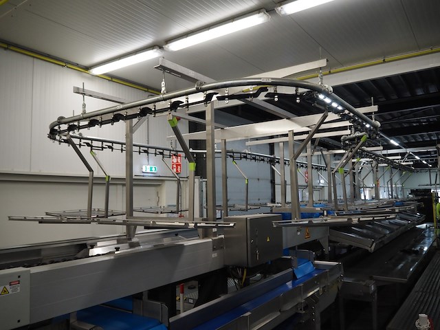 Sienz s.l. - afbeelding 33 van  45