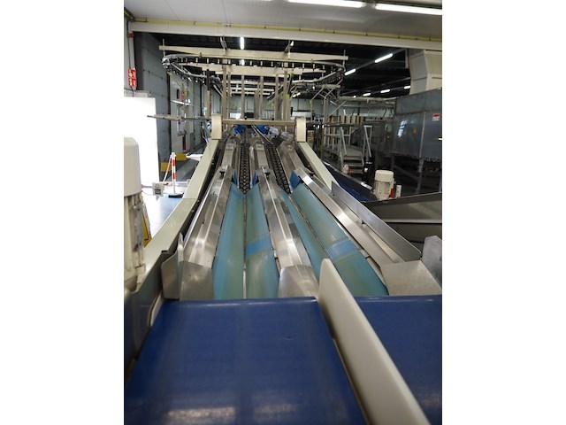 Sienz s.l. - afbeelding 43 van  45