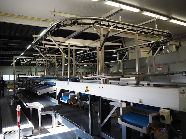 Sienz s.l. - afbeelding 45 van  45