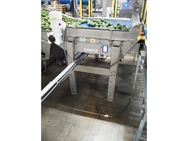 Sienz s.l. - afbeelding 1 van  5