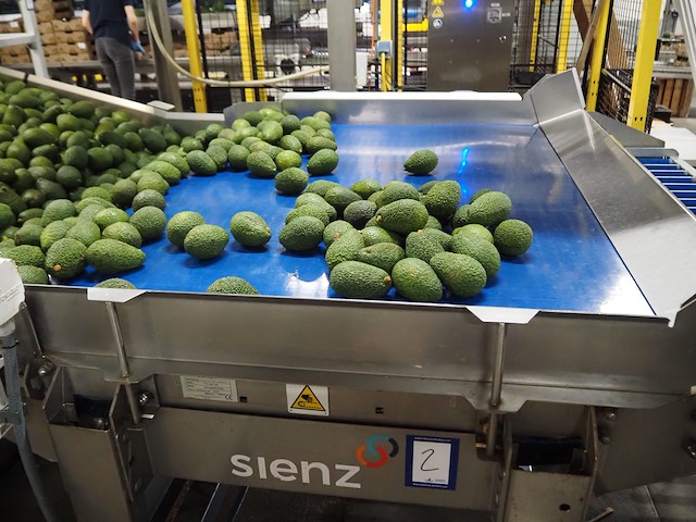 Sienz s.l. - afbeelding 3 van  5