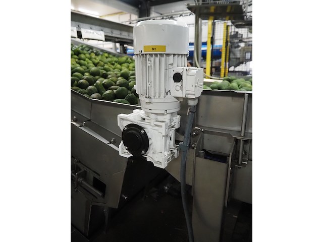 Sienz s.l. - afbeelding 4 van  5