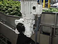 Sienz s.l. - afbeelding 4 van  5