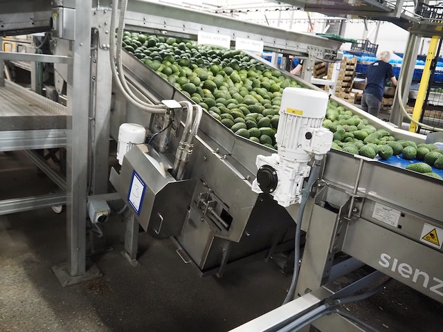 Sienz s.l. - afbeelding 1 van  8