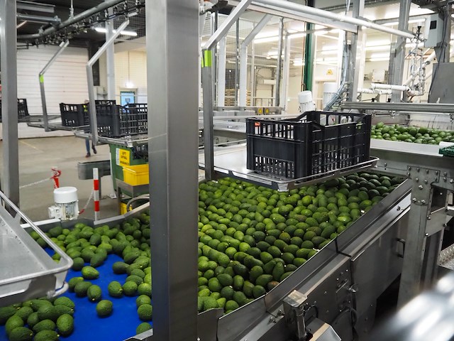 Sienz s.l. - afbeelding 3 van  8