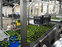 Sienz s.l. - afbeelding 3 van  8