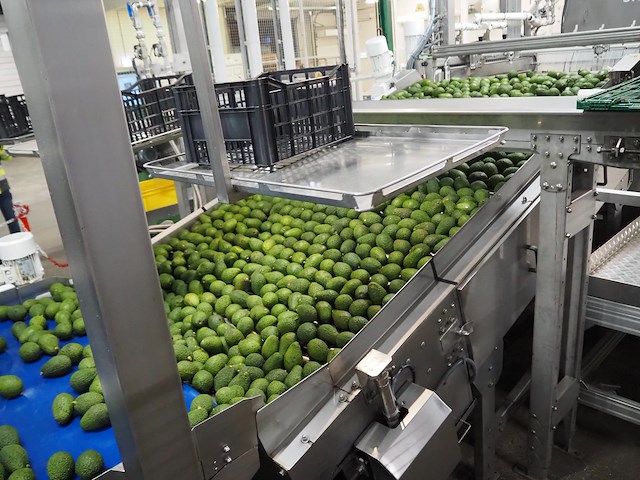 Sienz s.l. - afbeelding 4 van  8