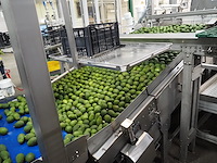 Sienz s.l. - afbeelding 4 van  8