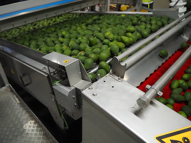 Sienz s.l. - afbeelding 5 van  8