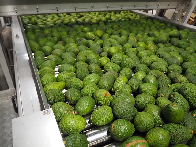 Sienz s.l. - afbeelding 6 van  8