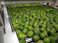 Sienz s.l. - afbeelding 6 van  8