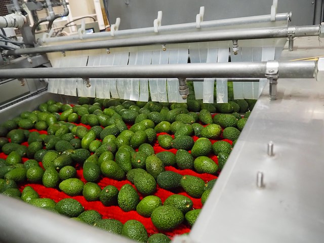 Sienz s.l. - afbeelding 3 van  16