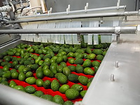 Sienz s.l. - afbeelding 3 van  16