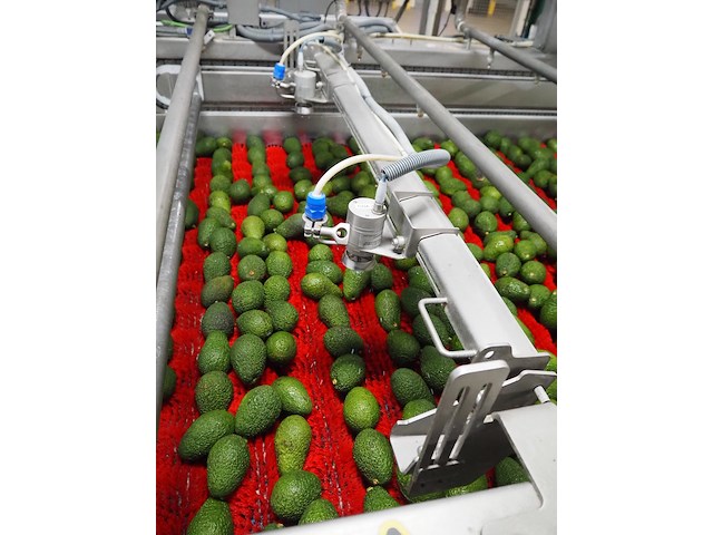 Sienz s.l. - afbeelding 4 van  16