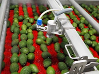 Sienz s.l. - afbeelding 4 van  16