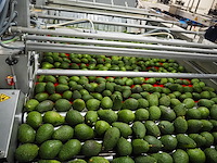 Sienz s.l. - afbeelding 11 van  16