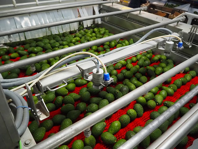 Sienz s.l. - afbeelding 12 van  16