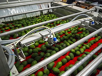 Sienz s.l. - afbeelding 12 van  16