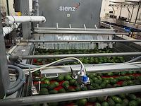 Sienz s.l. - afbeelding 13 van  16