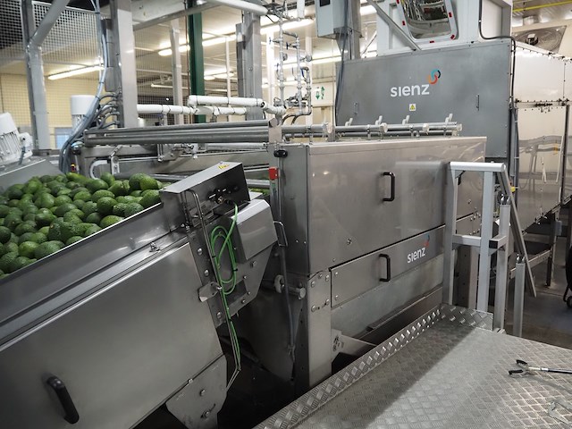 Sienz s.l. - afbeelding 16 van  16