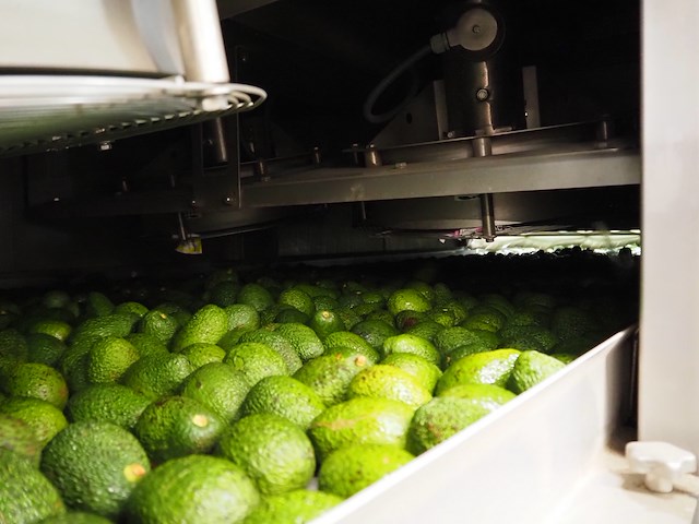 Sienz s.l. - afbeelding 3 van  26