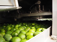 Sienz s.l. - afbeelding 3 van  26