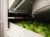 Sienz s.l. - afbeelding 4 van  26