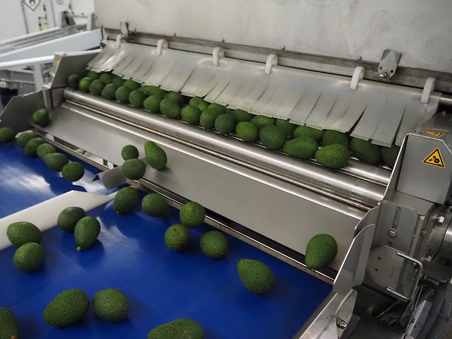 Sienz s.l. - afbeelding 7 van  26